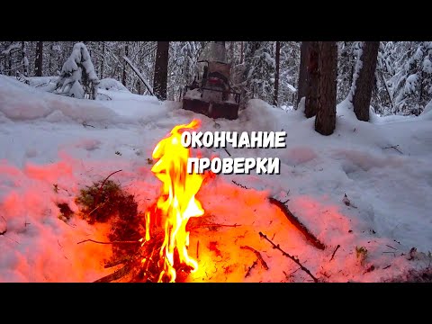 Видео: ТРЕТИЙ ДЕНЬ ПРОВЕРКИ КАПКАНОВ. ВЫЕЗД.