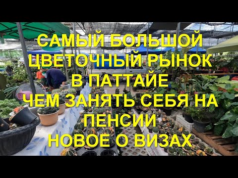 Видео: Самый большой цветочный рынок в Паттайе. Чем занять себя на пенсии. Новое о визах в Таиланде.