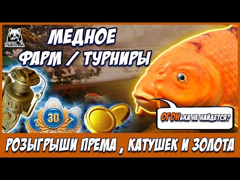 Видео: МЕДНОЕ - ЦВЕТНЫЕ КАРПЫ 🎁 В  РУЛЕТКЕ - РАПТОР, ВЕНГА, РОД ПОД 🔴 РОЗЫГРЫШИ И ТУРНИРЫ 💥СТРИМ РР4