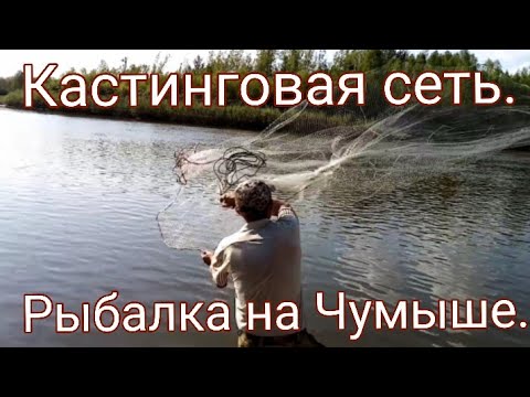 Видео: Кастинговая сеть. Рыбалка на Чумыше. Амереканка 5м.Алтайский край.