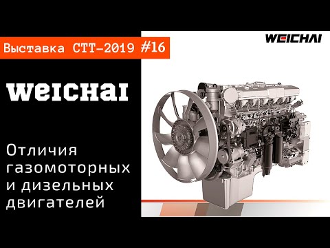 Видео: Отличия газомоторных и дизельных двигателей Weichai / СТТ-2019 часть #16