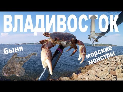 Видео: Рыбалка на спиннинг во Владивостоке. Морские монстры.