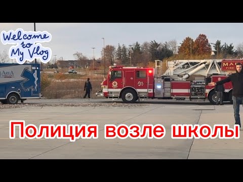 Видео: ЧТО СЛУЧИЛОСЬ УЗНАЕТЕ В КОНЦЕ #ПОПУГАИ #iowa #life #vlog #school #usa #police #parrots 