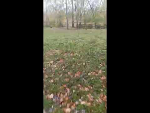 Видео: Скандальная Женщина об острых моментах. 0 реакции. 