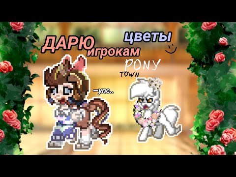 Видео: _🥂ДАРЮ ИГРОКАМ В PONY TOWN ЦВЕТОЧКИ_🥀 #ponytown  #betteeberg