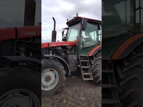 Видео: 27 сентября 2025 г.