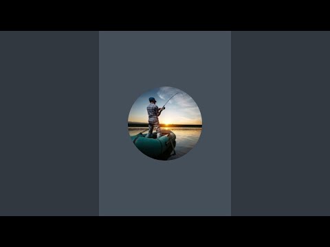 Видео: Дунай Рыбалка на Карпа