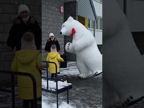 Видео: День рождения Алисы и праздничный медведь 16.01.2023