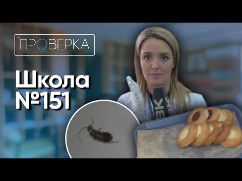 Видео: Красноярская школа №151 \ «Проверка» ТВК