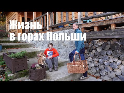 Видео: Жизнь в горах Польши: волонтёрство, тишина и красота с Workaway
