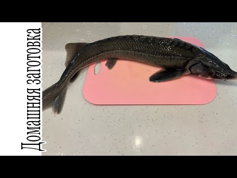 Видео: Осетр по-Армянски. Эксклюзивный южный рецепт эпизод №1570
