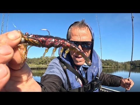 Видео: Грязевые крабы и безумная приманка (Поймай и приготовь)