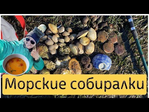 Видео: Прогулка по морю, дары моря и Том Ям по-русски