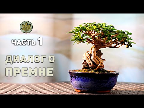 Видео: Диалог о премне (часть 1)