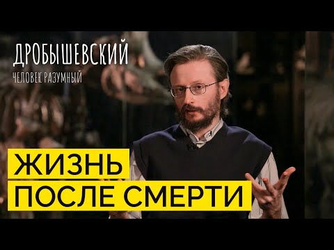 Видео: Как хоронили предков и что было после смерти // Дробышевский. Человек разумный