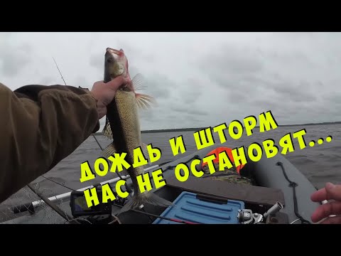 Видео: Рыбалка в шторм... Сыро, ветрено, опасно, но судак пойман...