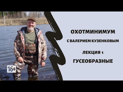 Видео: Охотминимум с Валерием Кузенковым. Лекция 1. Гусеобразные