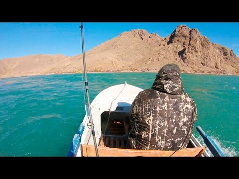 Видео: РЫБАЛКА на жереха в КРАСИВЫХ МЕСТАХ, рыбалка на спиннинг на реке Или, октябрь 2022