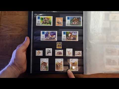 Видео: Ещё один альбом с фауной 1часть