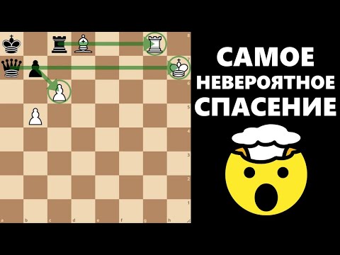 Видео: Самое невероятное спасение! #шахматы #chess #этюды