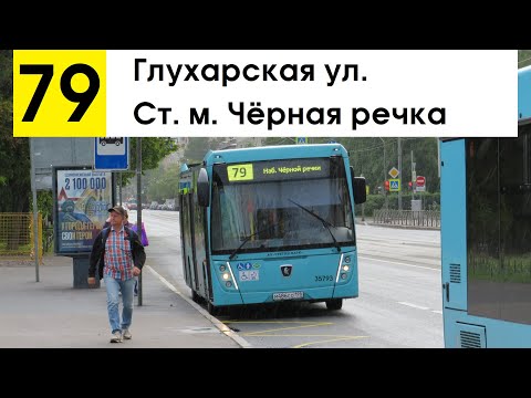 Видео: Автобус 79 "Ст. м. "Чёрная речка" - Глухарская ул."