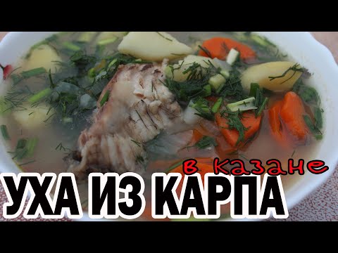 Видео: УХА из КАРПА в КАЗАНЕ. Рецепт рыбного супа. ENG SUB