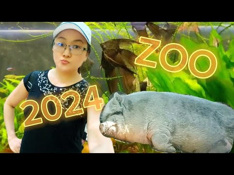 Видео: Зоопарк г.Алматы 2024 / Zoo in Almaty city