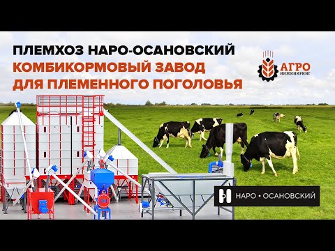 Видео: Комбикормовый завод на 6 тонн в час для племенного хозяйства. Обзор и реализация проекта.