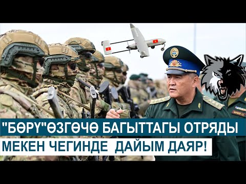 Видео: УЛУТТУК ДЕМ - УЛАМЫШКА АЙЛАНГАН " БӨРҮЛӨР