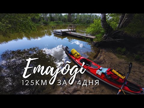 Видео: Из Выртсъярв в Чудское | Одиночный поход на каяке по Эмайыги