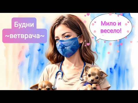 Видео: Будни ветврача. Весело и мило!