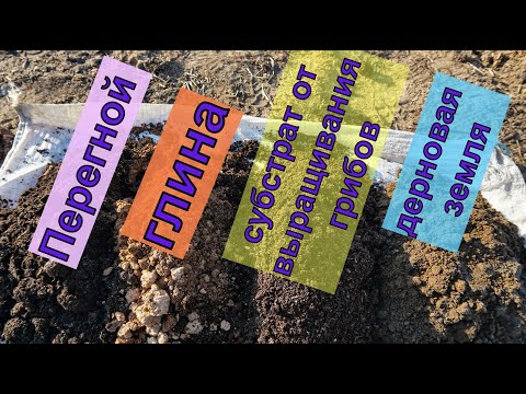 Видео: Виноград .Почему я копаю кубовые ямы для посадки винограда ?