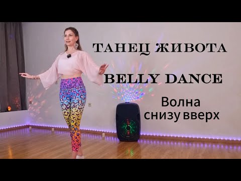 Видео: Танец живота.Урок для новичков. Волна снизу вверх. Очень подробный разбор.