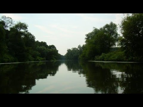 Видео: Маленькое путешествие на моторной лодке по р.  Ясельда