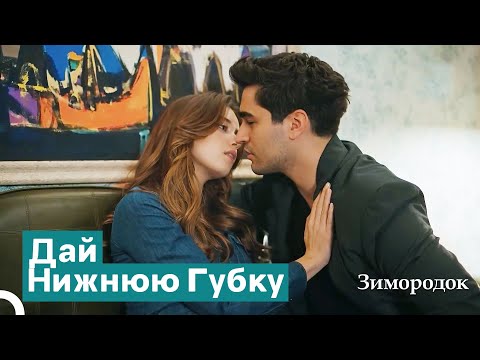 Видео: Как Я Могу Устоять Перед Этими Губами? | Зимородок