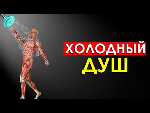 Видео: Что Будет с Телом, Если Принимать Холодный Душ Каждый День