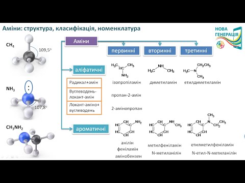 Видео: АМІНИ 1: Структура, класифікація, номенклатура. ХІМІЯ 10 клас