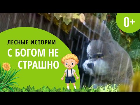 Видео: С Богом не страшно | Лесные истории (0+)