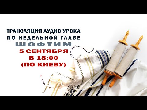 Видео: Шофтим. Уроки по недельной главе с р. Дов Бер Байтманом