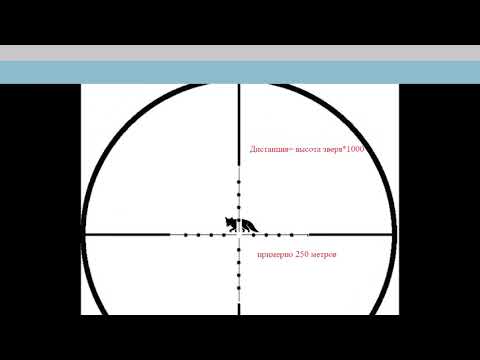Видео: Использование сетки mil dot на практической охоте