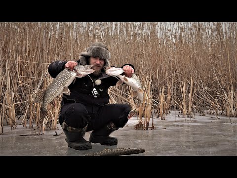 Видео: ЭКСТРЕМАЛЬНОЕ! Путешествие в Дельту Волги! Трудовая Рыбалка. Лучший рецепт КАРАСЯНДРИКА! Рыба ЕСТЬ!