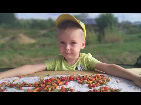 Видео: В деревне/День смерти мамы/Наши последние новости 