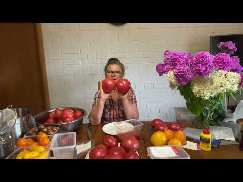 Видео: Как правильно выпустить семена томата 🍅