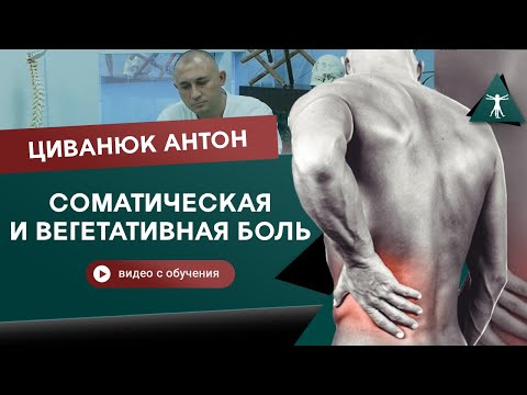 Видео: Вегетативная и соматическая боль. Циванюк Антон