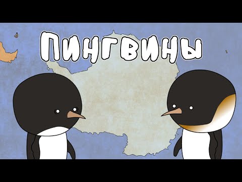 Видео: Пингвины - Мудреныч (Добро пожаловать в Антарктиду)