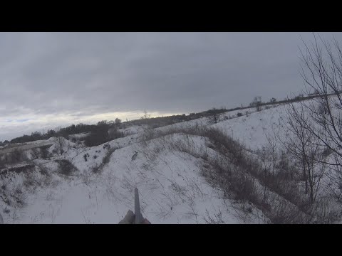 Видео: ОХОТА НА ЗАЙЦА16.01.2022Г.С МОЛОДОЙ ЭСТОНСКОЙ ГОНЧЕЙ.С ДАШКОЙ НЕ ВСЕ ТАК ПЛОХО КАК КАЗАЛОСЬ.