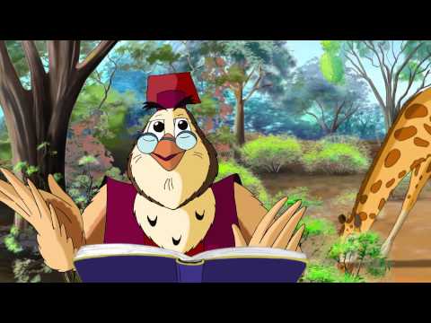 Видео: Уроки живой природы. Жирафы.