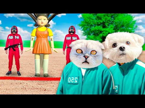 Видео: ИГРА В КАЛЬМАРА В РЕАЛЬНОЙ ЖИЗНИ С КОТАМИ! КЕВИН И БИЛЛИ ПРОТИВ ЛЕРЫ И МИШИ