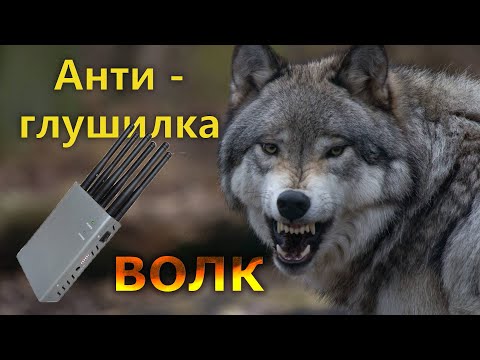 Видео: Антиглушилка ВОЛК (Детектор радиочастотных помех)