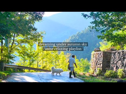 Видео: мечтая под осенним небом - /плейлист с расслабляющей музыкой asmr/